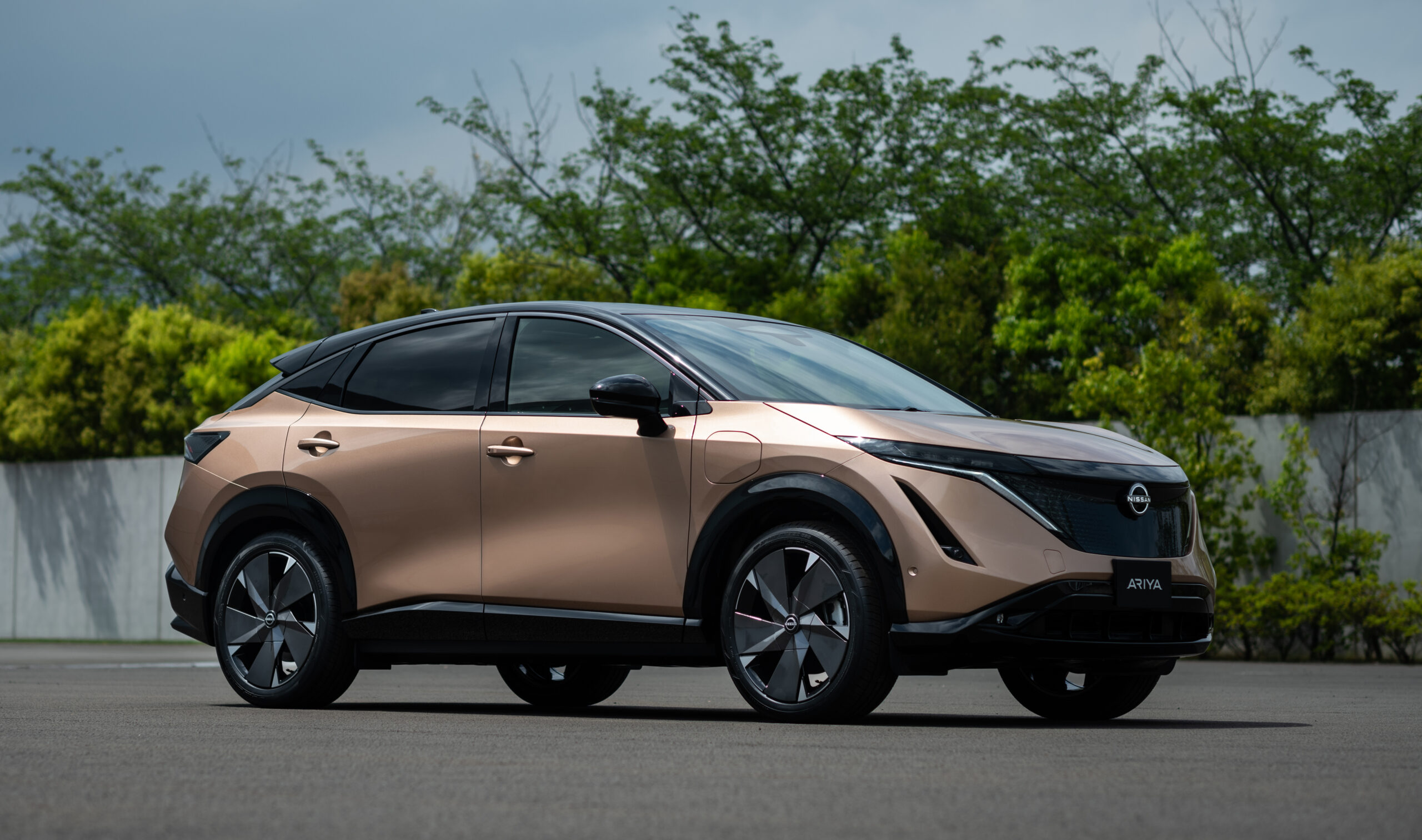 2025 Nissan Ariya Ev - Neil Lambert